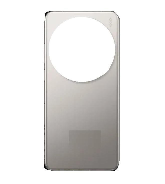 Back Panel Glass for Vivo X200 Pro Grey
