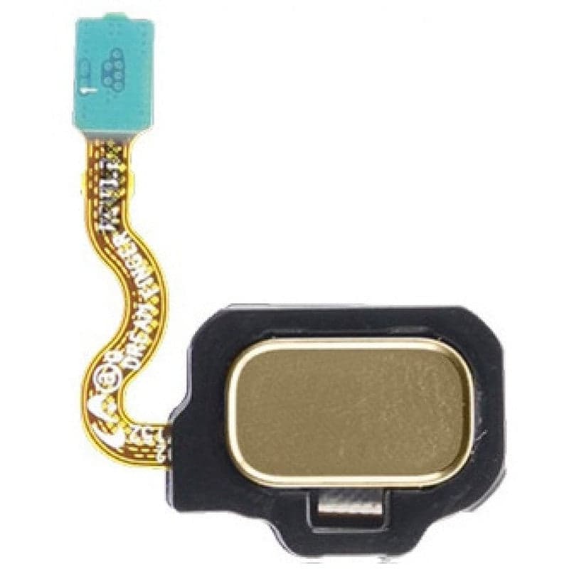 Mozomart Fingerprint Sensor Flex for Samsung Galaxy S8 Plus gold - image 1
